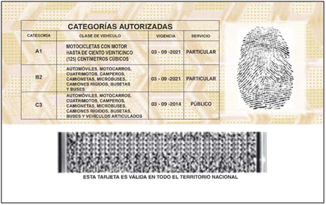Ejemplo de ubicación de categoría en licencia